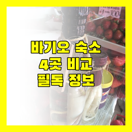 바기오 여행객 필독! 아잘리아 레지던스, 호텔 엘리자베스, Baden Powell Hostel, 유로텔 완벽 비교!