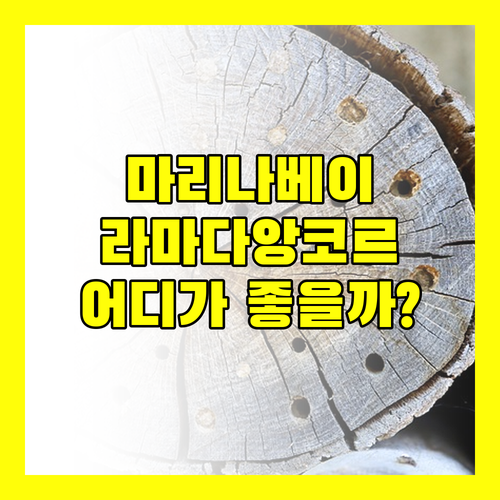 호텔 마리나베이 서울 vs 라마다 앙코르 김포, 당신의 선택은?