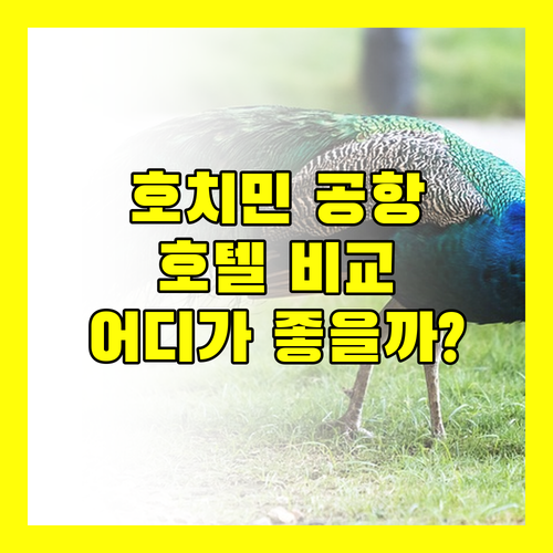 호치민 공항 근처 호텔 완벽 분석 선라이즈, 미 린, 르 사이공 어디가 좋을까?