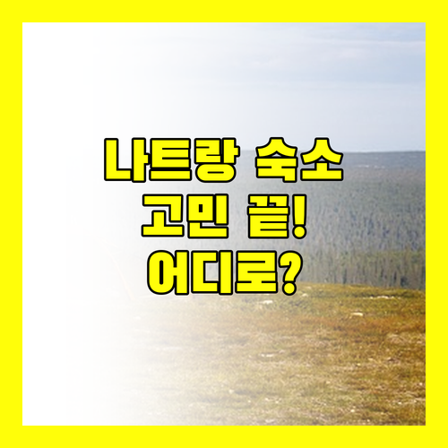 나트랑 숙소 고민 끝! 가성비 갑 프리미어 하바나부터 럭셔리 빈펄까지, 당신의 선택은?