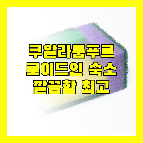 쿠알라룸푸르 여행 Lloyd's Inn 새로운 선택 깨끗함과 편리함