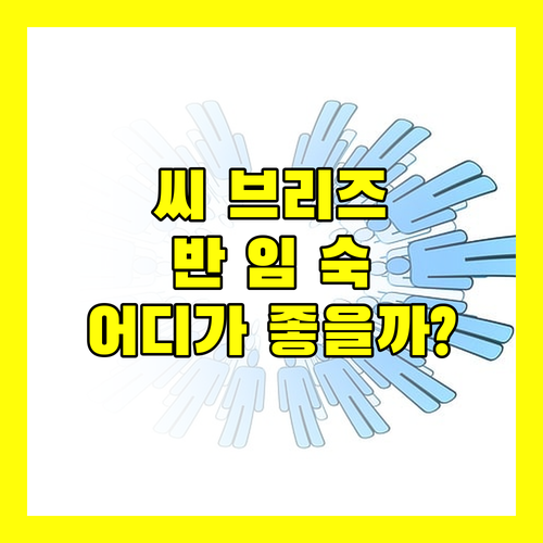 차오라오 해변 최고의 선택은? 씨 브리즈 리조트 vs 반 임 숙 리조트, 당신의 취향은?