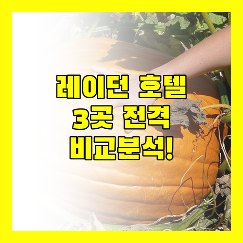 레이던 호텔 완벽 분석 인터시티호텔, 힐튼 가든 인, 이비스 라이덴 센터 비교