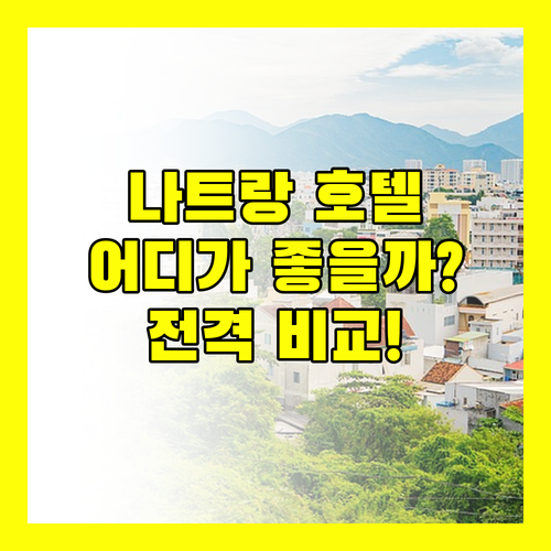 나트랑 호텔 어디로? 프리미어 하바나 vs 버고 vs 빈펄 럭셔리 전격 비교!