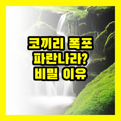 코끼리 폭포, 왜 '파란나라'라 불릴까? 그 놀라운 이유