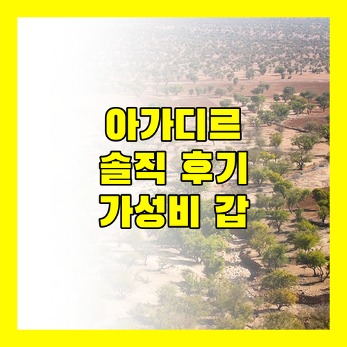 오아시스 호텔 & 스파 아가디르 후기 가성비와 편안함에 대한 솔직한 이야기
