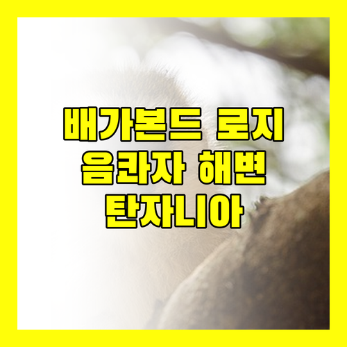 더 배가본드 로지.. 음콰자 해변, 잊지 못할 탄자니아 여행의 시작!