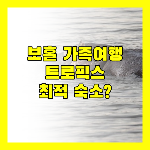 보홀 트로픽스 리조트.. 가족 여행객에게 딱 맞는 숙소일까?
