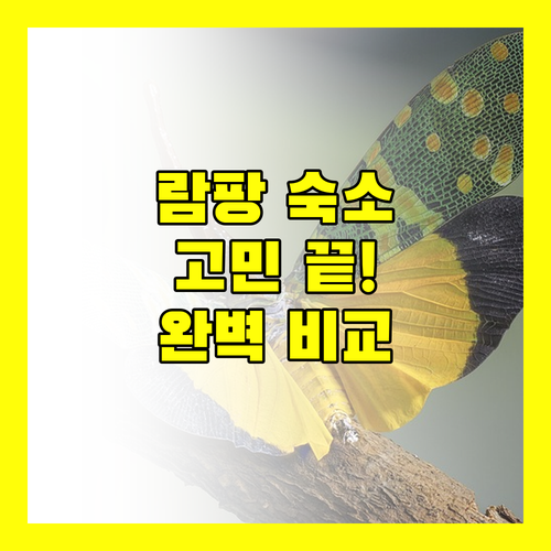 람팡 여행 숙소 고민 끝판왕 더 제네리 호텔, B2 람팡, 켈랑나콘 호텔 완벽 비교!