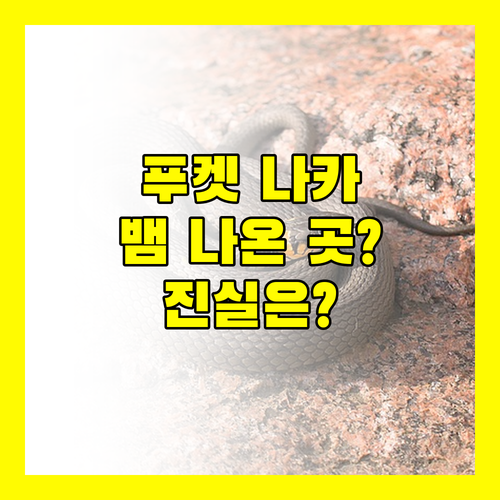 푸켓 나카 아일랜드 리조트! 뱀이 나오는 곳?