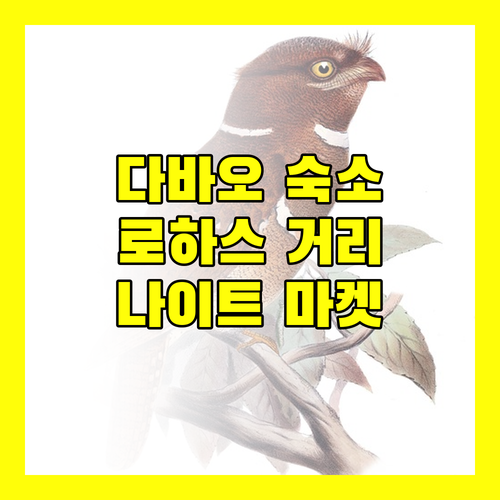 다바오 레드도어즈 플러스 로하스 스트리트 숙박 후기 나이트 마켓 접근성은 최고!
