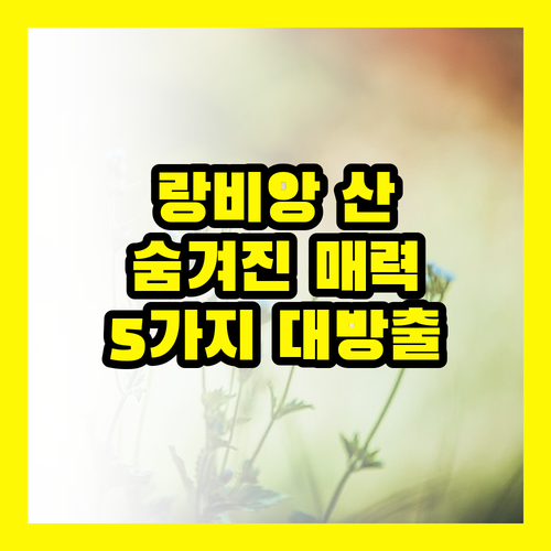 놓치면 후회하는 랑비앙 산: 숨겨진 매력 5가지 대방출