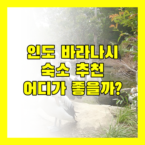 인도 바라나시 숙소 추천! 호텔 알카부터 Shanti Guest House까지, 당신의 선택은?