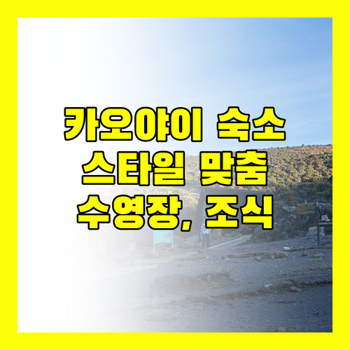카오야이 숙소 고민 끝! 내 스타일 맞춤 호텔 찾기 (feat. 수영장, 조식)