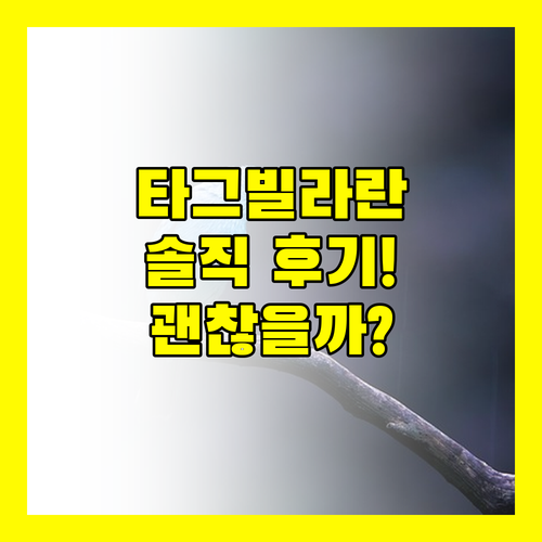 타그빌라란 호텔 플뢰르 드 리즈, 솔직 후기! 과연 괜찮을까?