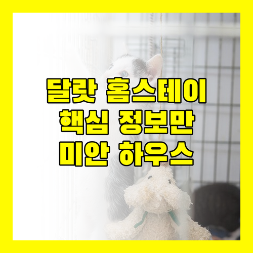 달랏 홈스테이 완벽 가이드 미안 하우스, 원 밀리언, D Home Da Lat 4 상세 정보