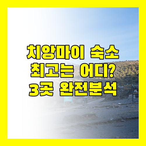 치앙마이 여행객 필독 브리크 호텔, 무스 이지 호텔, 쿰 파야 리조트 완벽 분석!