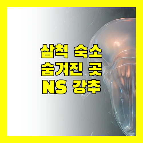 삼척 NS 호스텔 & 모텔.. 숨겨진 보석 같은 숙소, 지금 바로 확인하세요!
