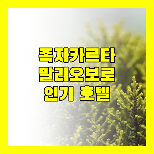 족자카르타 말리오보로 인기 호텔 추천 가이드 한국인 여행객 필독
