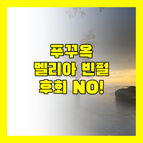 푸리 여행을 완성하는 숙소 멜리아 빈펄 푸 리, 놓치면 후회!