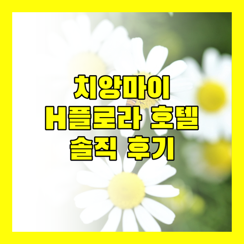 H·Flora Hotel, 치앙마이 여행객의 필수 숙소?! 리얼 후기!