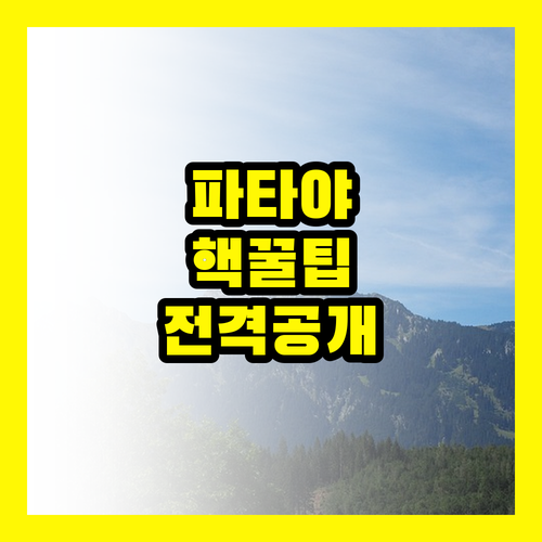 파타야 여행, 아는 사람만 누리는 꿀팁 대방출
