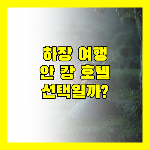 안 캉 호텔, 하장 여행의 시작과 끝 완벽한 선택일까?