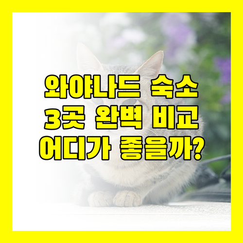 와야나드 숙소 추천 라벤더 리조트, 릴 우즈, 비띠리 리조트 완벽 비교!