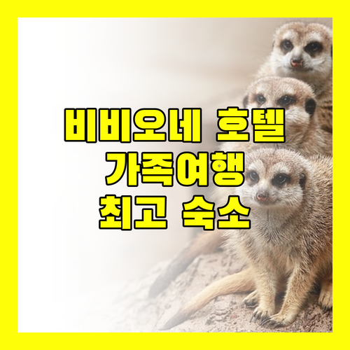 비비오네 호텔 완벽 분석 가족 여행객을 위한 최고의 숙소는 어디?