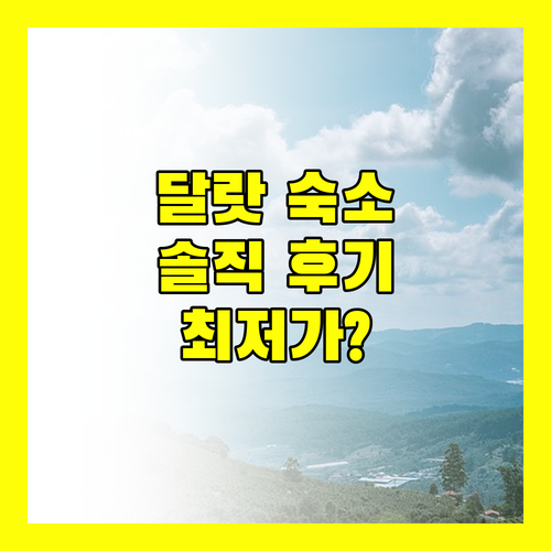 달랏 여행 RedDoorz Near Phuong Trang Bus Station 솔직 후기 최저가 보장?