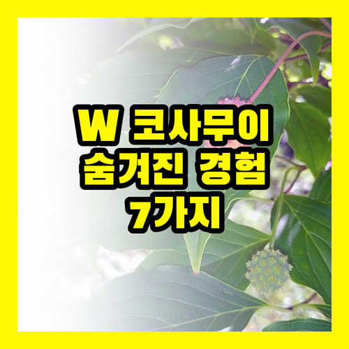 코사무이 W: 나만 알고 싶은 특별한 경험 7가지