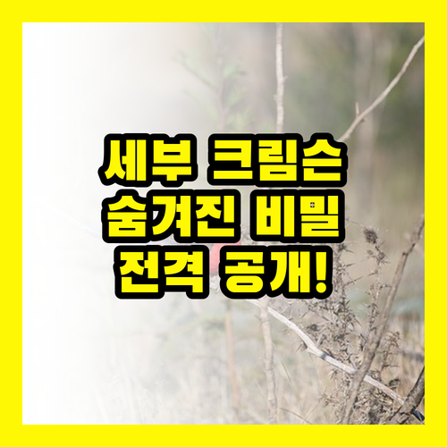 세부 크림슨 리조트: 당신만 모르는 숨겨진 비밀 공개!